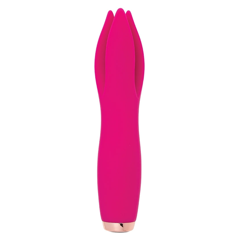 Tulip